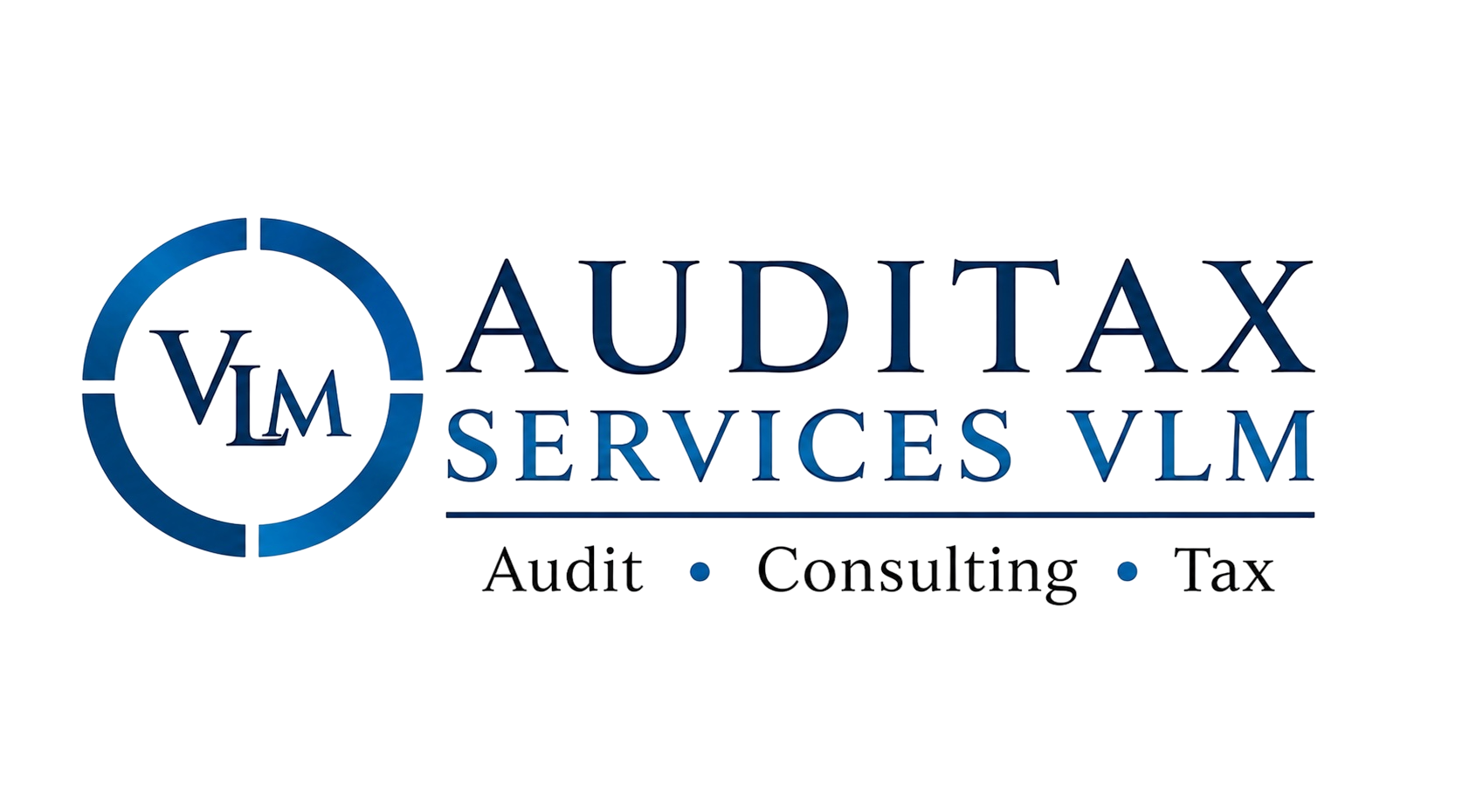 Auditax Services VLM